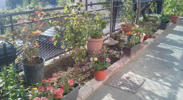 Коттедж Christos House