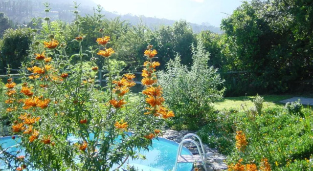 Коттедж Kairos Lodge