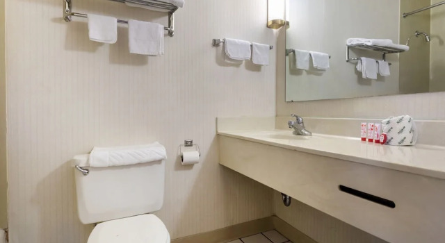 Premium huone Mansion View Inn Springfield