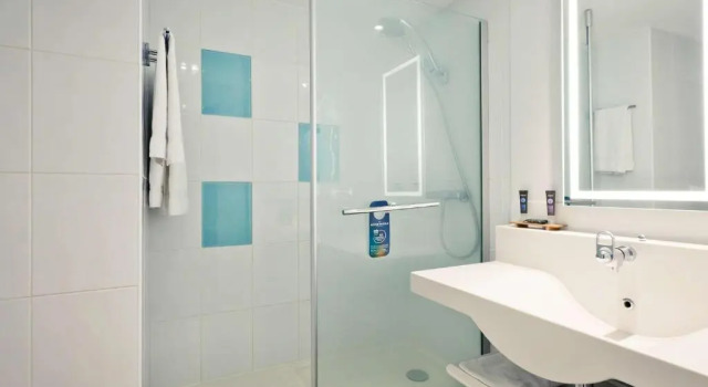 Двухместный номер Executive Novotel Lyon Gerland Musée des Confluences