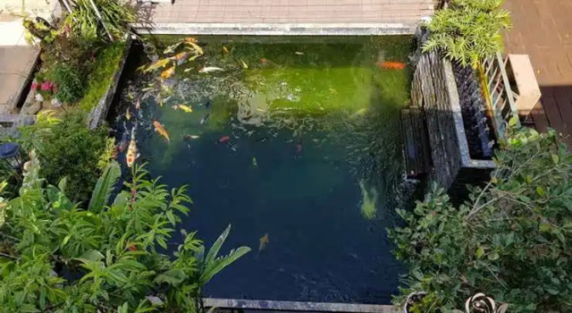 Six Six Garden - Rose Koi Homestay Dalat