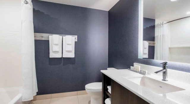 Двухместный люкс c 1 комнатой Residence Inn by Marriott Winnipeg