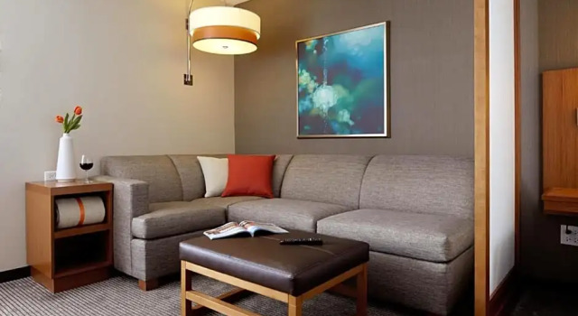 Двухместный Accessible люкс c 1 комнатой Hyatt Place at The Hollywood Casino / Pittsburgh - South