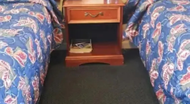 Четырёхместный номер Standard The Virginia Lodge
