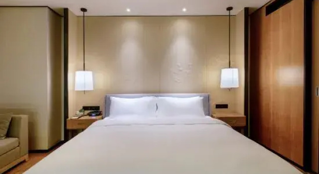 Люкс Deluxe Binhu Fanglai International Hotel