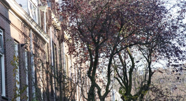 Jay' s B&B, Забронировать Отель «постель и завтрак» Noordoost Утрехт, рядом с Утрехт Центральный