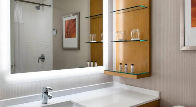 Номер Standard Delta Hotels by Marriott Utica
