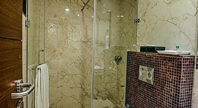 Двухместный номер Standard Hotel Lilac