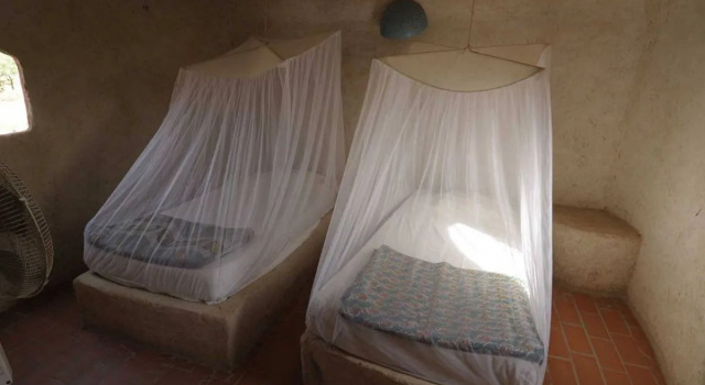 Ecolodge de Palmarin