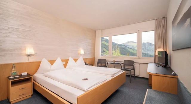 Двухместный номер Standard Seeblick Höhenhotel