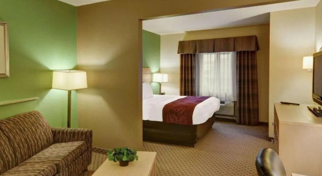 Студия Comfort Suites Lindale - Tyler North