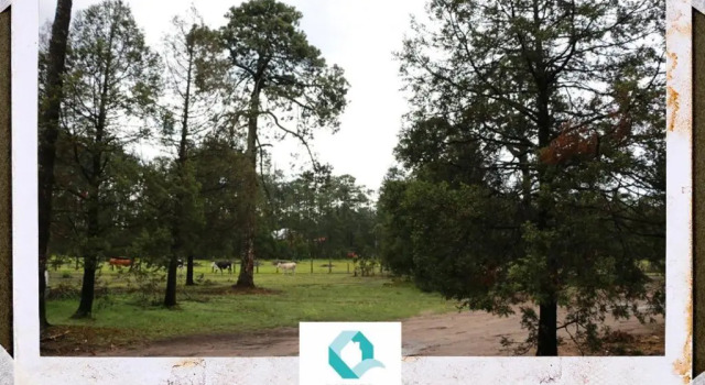 Hermosas Cabañas en Mexiquillo Durango Familiares Para 8 Personas.