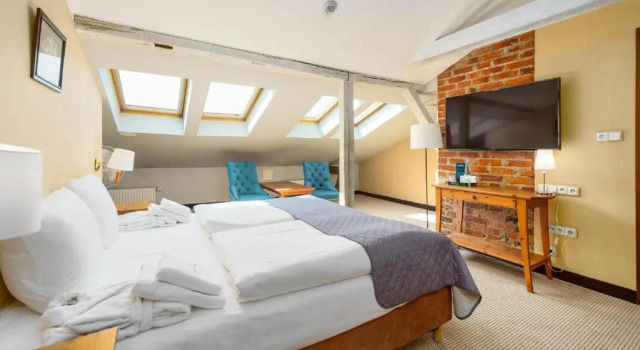 Одноместный номер Economy Maxymilian Unique Hotel