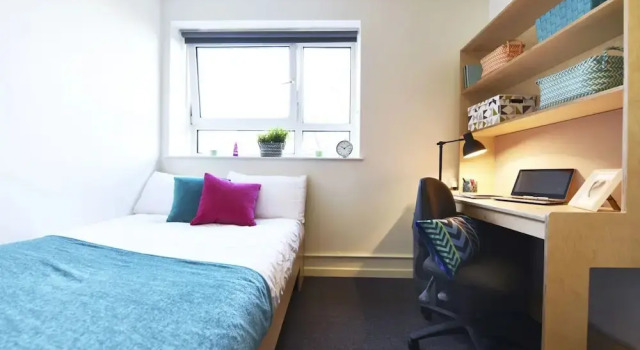 Двухместный номер Standard Raymont Hall in London