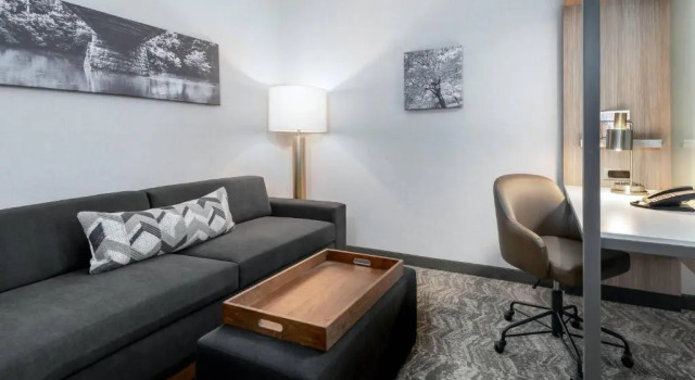 Люкс SpringHill Suites by Marriott Indianapolis Westfield