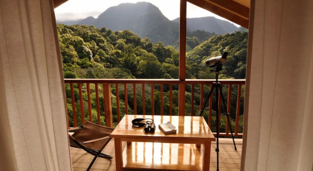 Dyrektorski suite Mount Totumas Cloud Forest