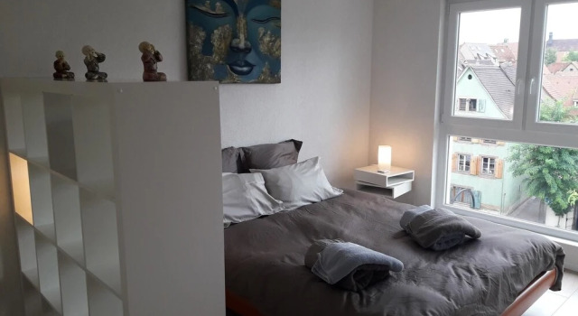 Apartment 4 With 2 Bedrooms in Colmar, With Wonderful City View, Balco, Забронировать Апартаменты/квартира Отели Alsace Wine Route с парковкой, Парковка