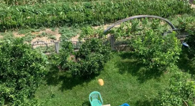 Camera Standard Agro BnB Elbasan
