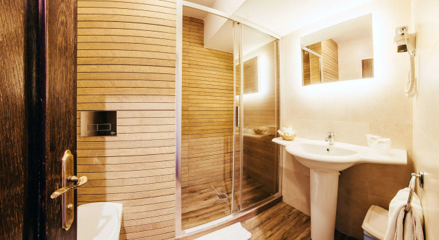 Двухместный номер Economy Hotel Best Western Bucovina