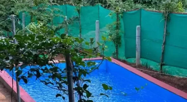 Loquat Inn Homestay