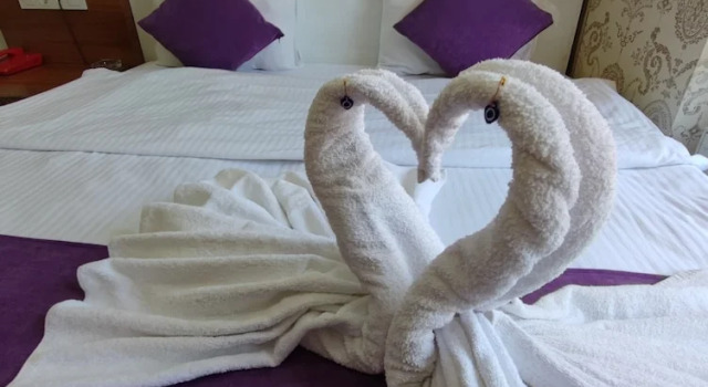 Номер Comfort Plevne Otel
