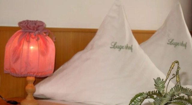 Одноместный номер Standard с балконом Hotel Lugerhof