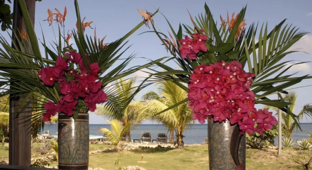 Бунгало Superior Las Rocas Resort and Dive Center