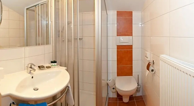 Номер Standard Ski- & Wanderhotel Berghof
