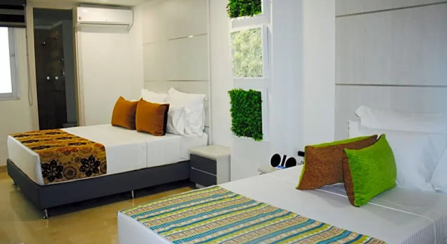 Номер Standard Hotel Madeiro