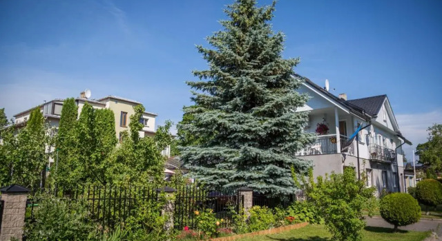 Двухместный номер Standard с видом на сад Papli 2 Accommodation