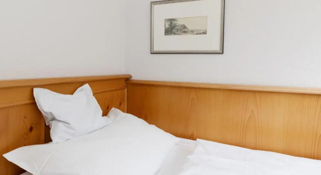 Одноместный номер Standard Hotel Gasthaus Adler