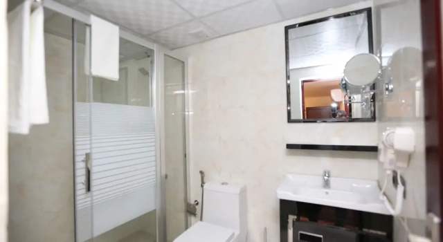 Habitación individual Clásica Venus Hotel