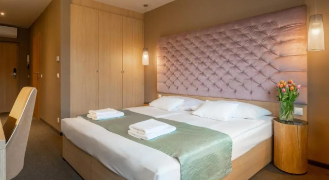 Номер Economy Onyx Luxury Sarvar