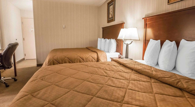 Четырёхместный номер Standard Quality Inn & Conference Centre