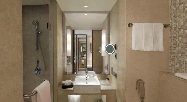 Двухместный номер Standard Holiday Inn Jaipur City Centre by IHG