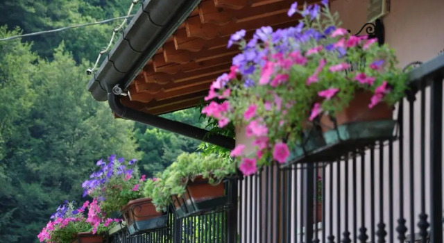 Номер Standard Agriturismo Dazze