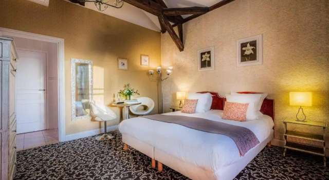 Номер Comfort Hôtel Le Pavillon des Lys - Amboise Centre