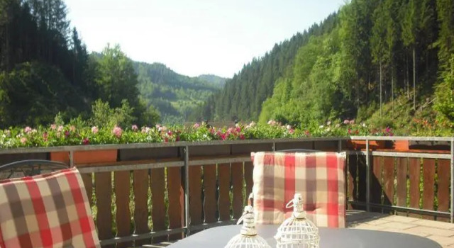 Ferienhaus Niedermättle, Book Apartment Oppenau Black Forest