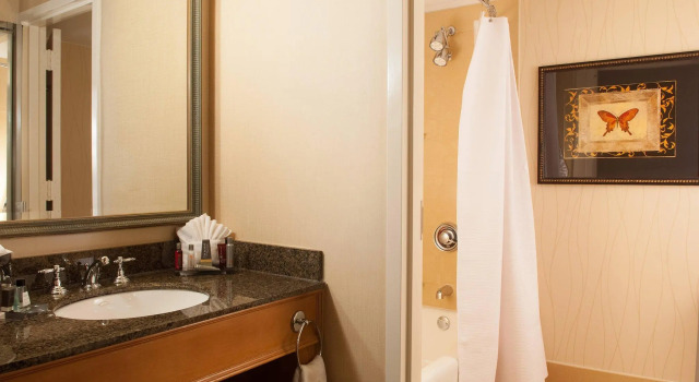 Четырёхместный номер Standard Greenville Marriott