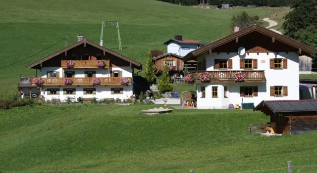 Апартаменты Fronwieshäusl Gschoßmann Herbert