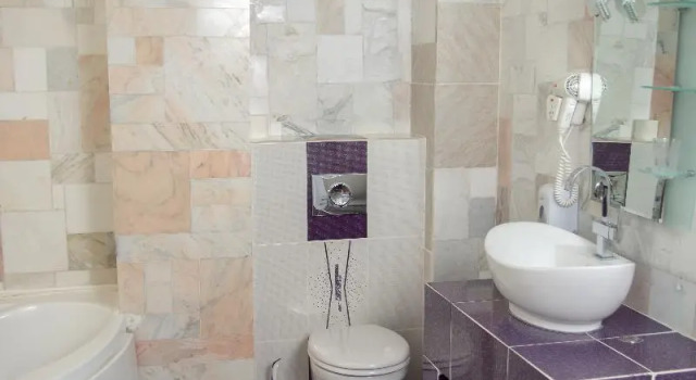 Двухместный номер Standard Amethyst House Therme & Bucharest Otopeni Airport