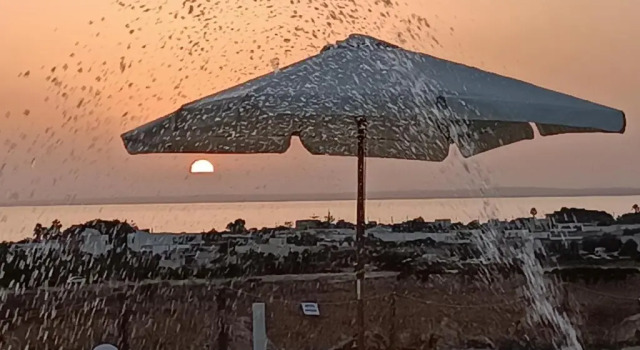 Il giardino dei tramonti, Prenota Hotel Nardò Salento