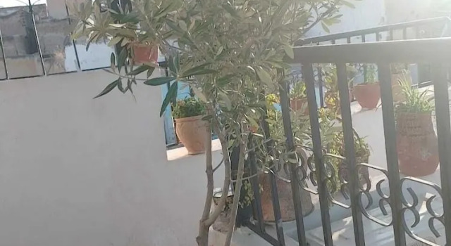 Номер Royal Riad lala Drissia