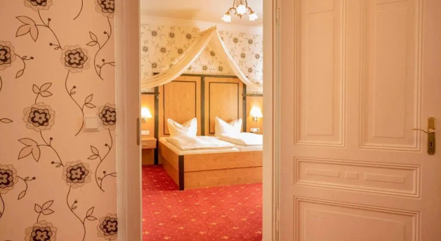 Двухместный люкс Alte Landratsvilla Hotel Bender