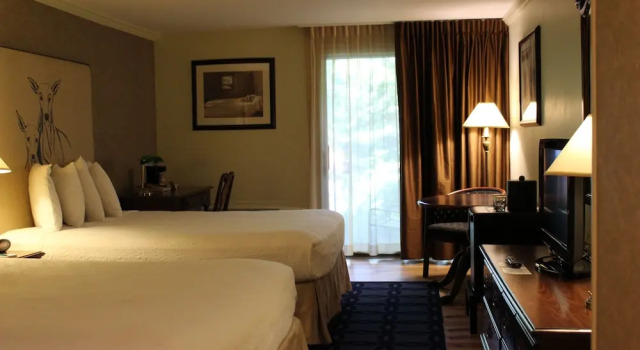 Номер Standard Цокольный этаж Interlaken Inn