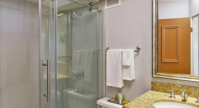 Двухместный номер Standard Hilton Chicago/Oak Lawn