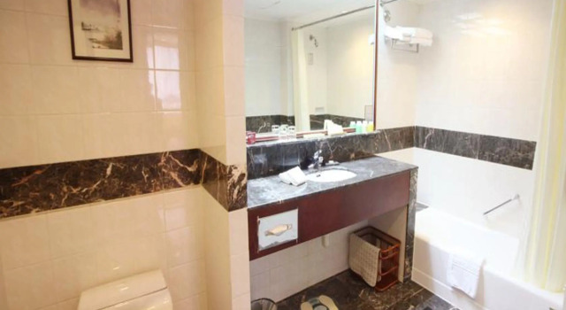 Двухместный номер Deluxe Century Plaza Hotel