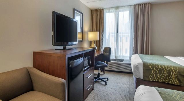 Четырёхместный номер Standard Comfort Inn Shady Grove - Gaithersburg - Rockville