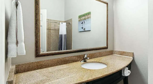 Люкс La Quinta Inn & Suites by Wyndham Alamo - McAllen East