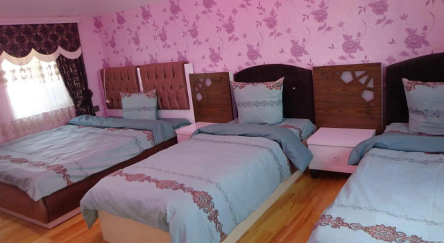 Tubram S Ailəvi Qonaq Evi, Prenota Hotel Hotel economici a Sheki